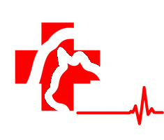 Hospital Veterinario de Especialidades San Lázaro